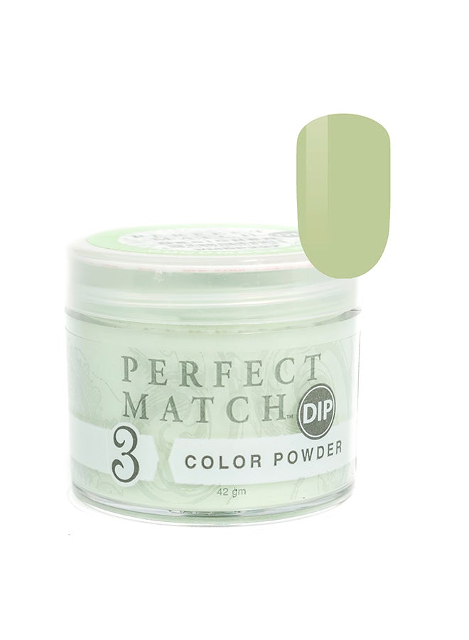 Lechat Nail Dipping Powder Cucumber Mint 42g, Dip Acrylic Powder Nail Art Manicure System by Perfect Match PMDP227