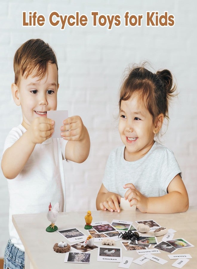 MEROCO Chicken Life Cycle Toys for Kids 3-5 Animal Flashcards with Figurines Preschool Science Matching Game Learning & Education Toys - Image 4