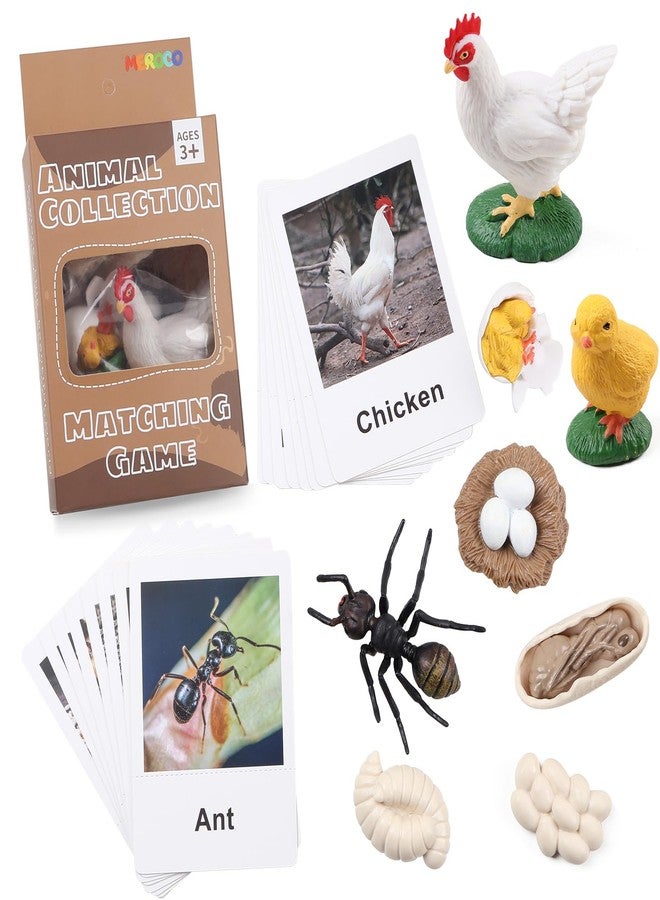 MEROCO Chicken Life Cycle Toys for Kids 3-5 Animal Flashcards with Figurines Preschool Science Matching Game Learning & Education Toys - Image 1