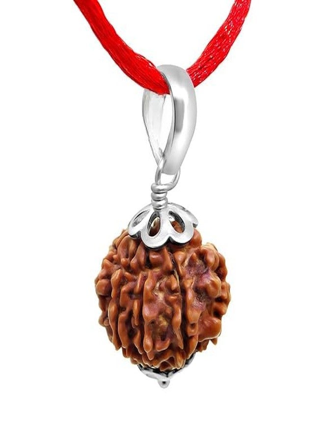 SIDHARTH GEMS 6 Mukhi Nepali Rudraksha Six Mukha Six Face Mantra Siddha Rudraksh Pendant Certified, Brown[SIDHARTH7668] - Image 2