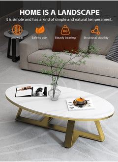 Coffee Table White Faux Marble Coffee Table Oval Modern Center Table Tea Table for Small Space Living Room Wooden Living Room Tables End Table with Gold Metal Leg - pzsku/Z741D21C51B0C85B42F01Z/45/_/1736845762/38b6741d-eeb9-4a04-a8b9-b370fe3a9027