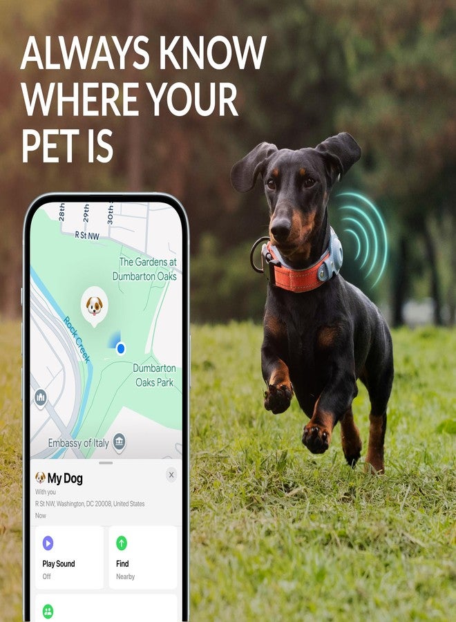 CollarDirect Airtag Dog Collar, CollarDirect, Reflective Dog Collar for Apple Air Tag for Large, Medium, and Small Dogs, Black, Green, Pink (L, Green) - Image 4