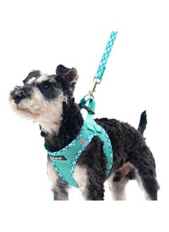 PUPTECK PUPTECK Dog Harness and Leash Set for Small Medium Dogs No Pull Step-in Soft Mesh Puppy Cat Vest Harnesses Reflective at Night, Green S  - Image 1