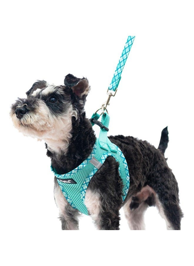 PUPTECK - PUPTECK Dog Harness and Leash Set for Small Medium Dogs No Pull Step-in Soft Mesh Puppy Cat Vest Harnesses Reflective at Night, Green S - Image 1