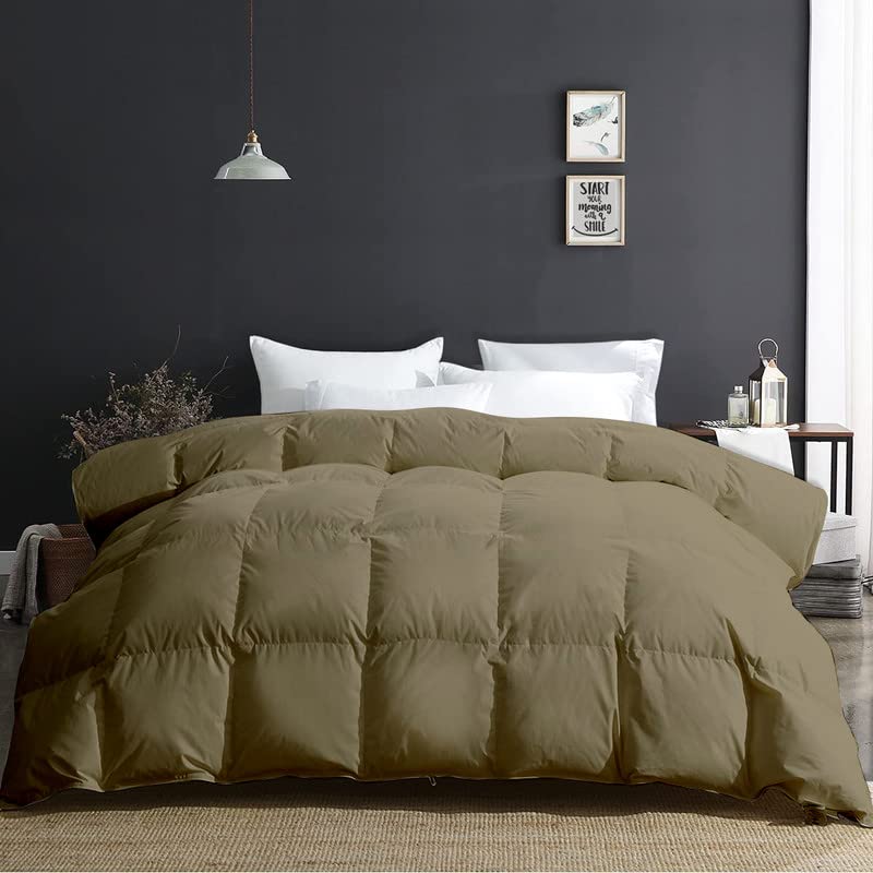 Razzai MammaYo Microfiber King Comforter 500 GSM Winter Comforter Premium Collection Quilted Comforter (92" x 106" Inches/233cm x 269cm) - King Size, Lightweight | Beige - Image 3