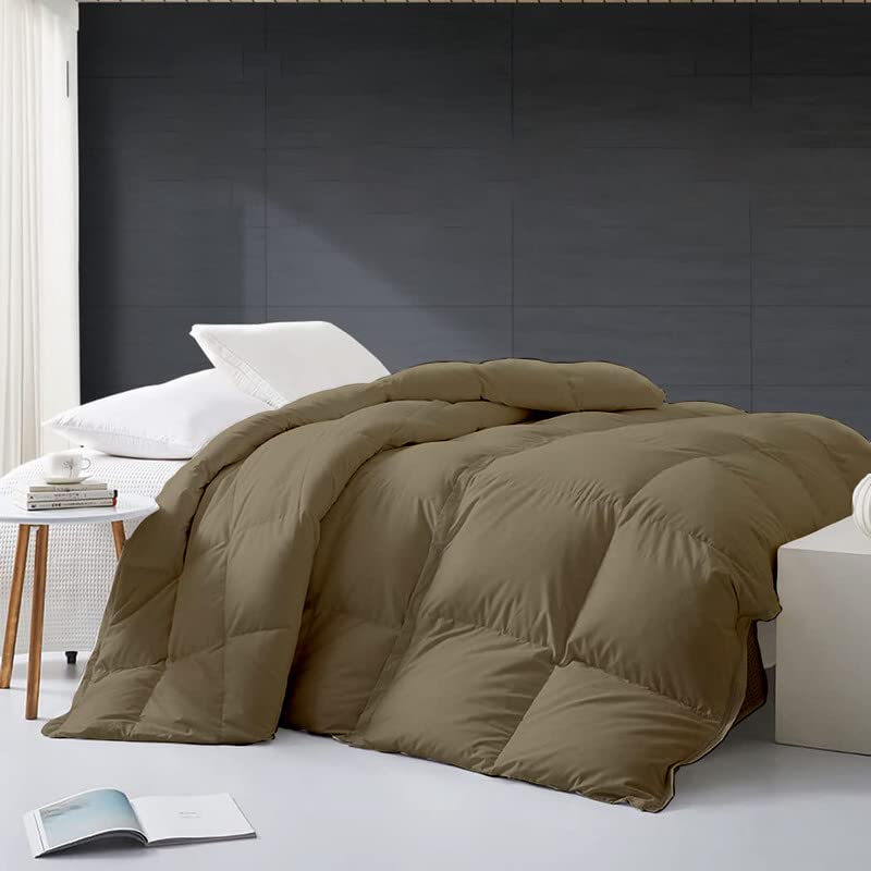 Razzai MammaYo Microfiber King Comforter 500 GSM Winter Comforter Premium Collection Quilted Comforter (92" x 106" Inches/233cm x 269cm) - King Size, Lightweight | Beige - Image 2
