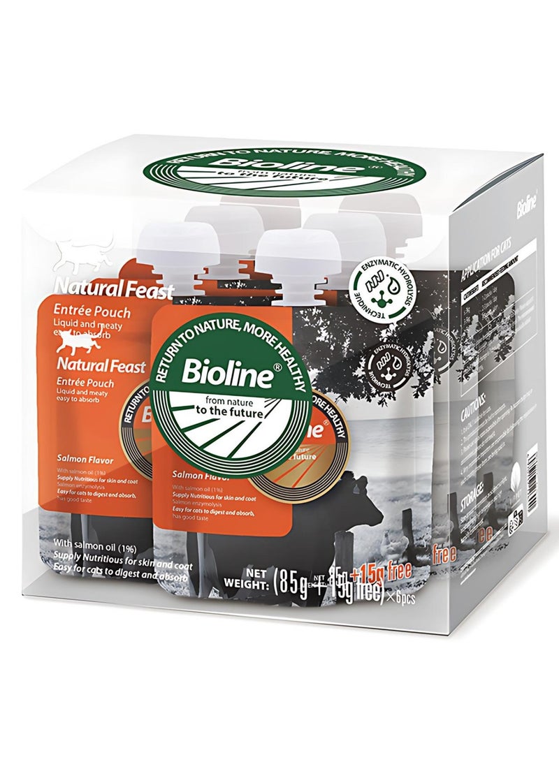 بايولاين كيس مقبلات ناتشورال فيست بنكهة السلمون 85 جم + 15 جم (الحد الأدنى للطلب: 6 قطع) - Image 2