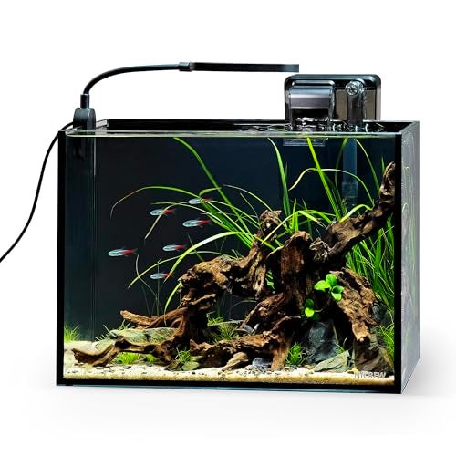 NICREW 2.5 Gallon Nano Nature Aquarium Kit, Ultra-Clear Rimless Desktop Fish Tank with Light and Filter, Perfect for Small Fish, Shrimp, or Betta, Basic Version, Black - Image 1