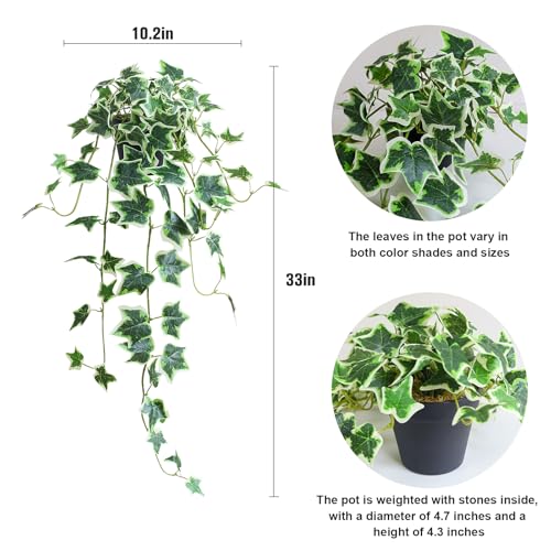 alyptus Fake English Ivy Plants in Pots Set of 2 – Realistic Artificial Ivy Greenery for Home Decor, Tabletop, Office, Shelf, Balcony, Lifelike Faux Hanging Vines, No Maintenance Required - White and Green - Image 2