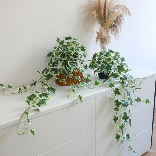 alyptus Fake English Ivy Plants in Pots Set of 2 – Realistic Artificial Ivy Greenery for Home Decor, Tabletop, Office, Shelf, Balcony, Lifelike Faux Hanging Vines, No Maintenance Required - White and Green - Image 1