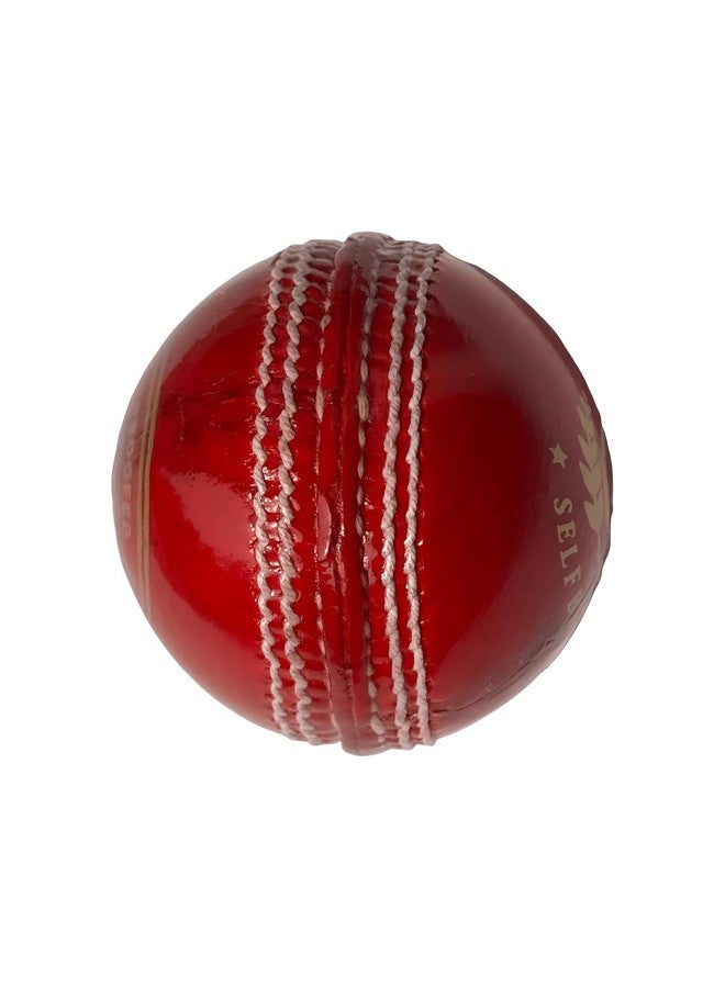 SELF BELIEVE Test Cricket Leather Ball, Red,Pack of 1,Standard Size for Test Cricket - Image 1