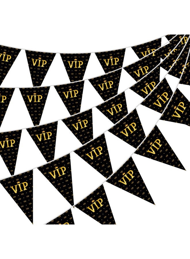 Faccito فاسيتو 5 قطع 49 قدم لافتات علمية VIP لزينة ليلة الفيلم علم مثلث لحفلة VIP زينة لليلة الفيلم لموضوع حفلة السجادة الحمراء من عشرينيات القرن الماضي - Image 1