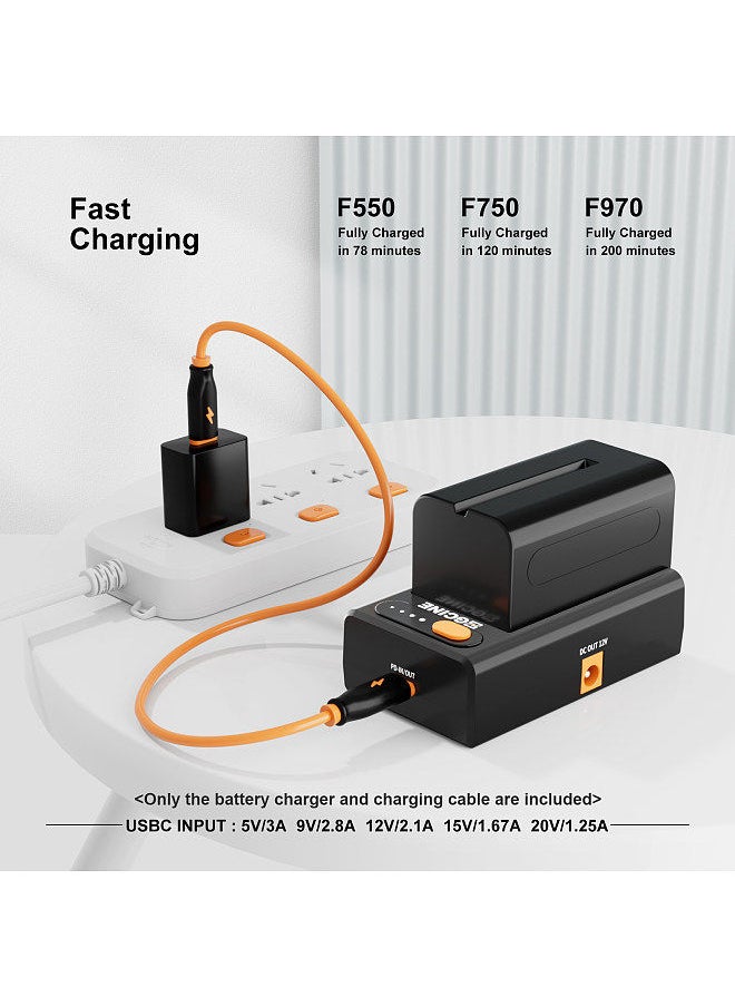 ZGCINE - ZGCINE NPF-02 NP-F Series Battery Charger Battery Adapter Plate with Type-C Bi-directional PD Charging Port DC12V DC8.4V DC Outputs 1/4 Inch   Thread Charger for NP-F970/ NP-F750/ NP-F550 Batteries - Image 1