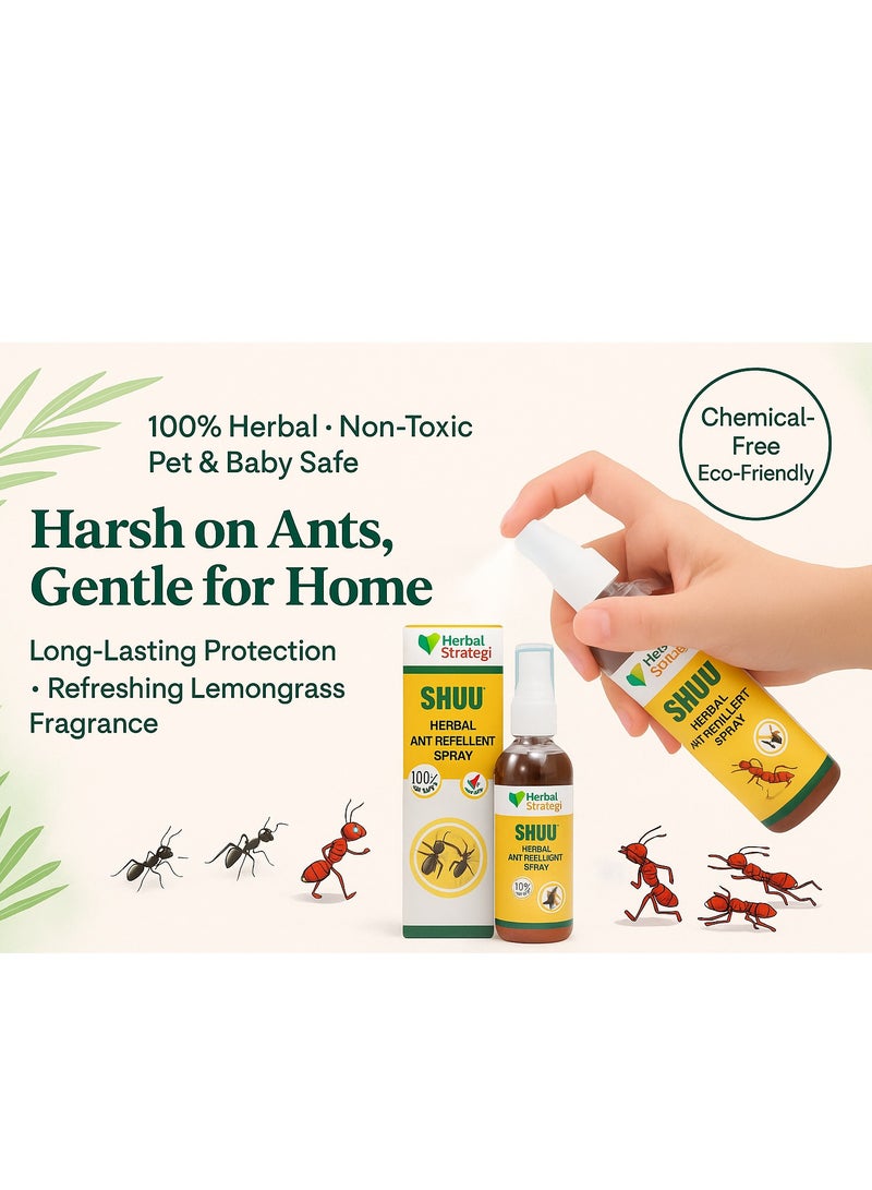 هيربال إستراتيجي بخاخ طارد النمل العشبي "جاست أوت" من "ستراتيجي" | طارد نمل منزلي | آمن للأطفال والحيوانات الأليفة | عشبي ١٠٠٪ | صديق للبيئة، غير سام (١٠٠ مل) - Image 2