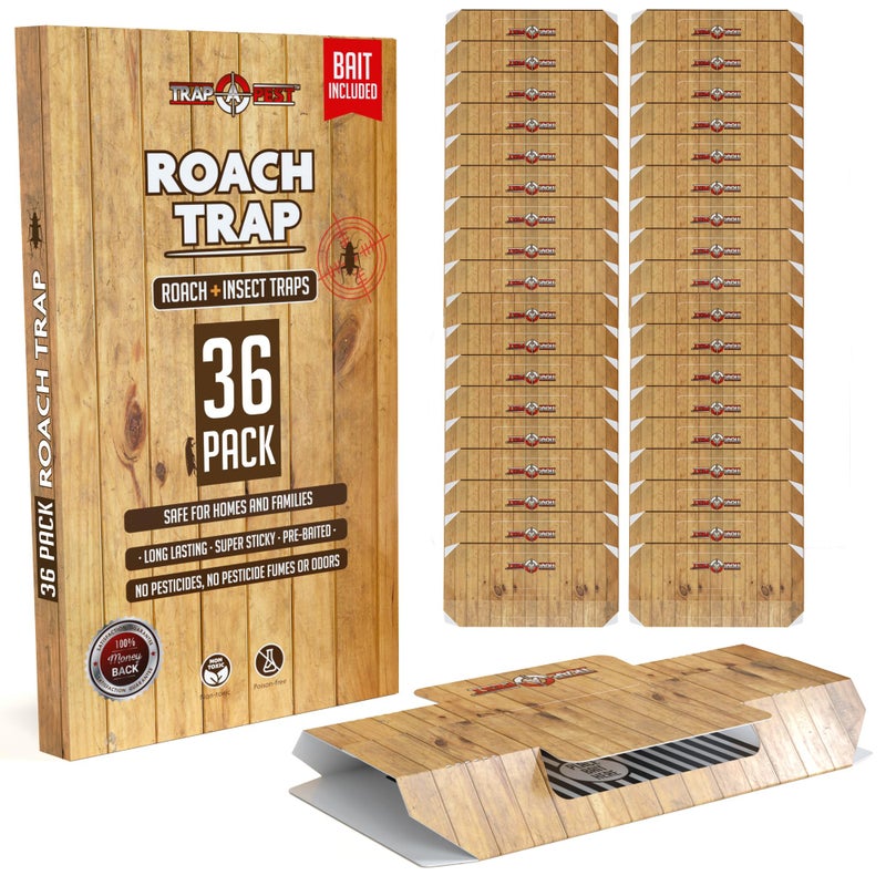 TRAP A PEST Roach Traps Indoor Sticky 36 Pack Glue Traps for Roaches Bug Traps with Roach Bait Traps Long Lasting NonToxic Children and Pet Friendly Trap a Pest - Image 2