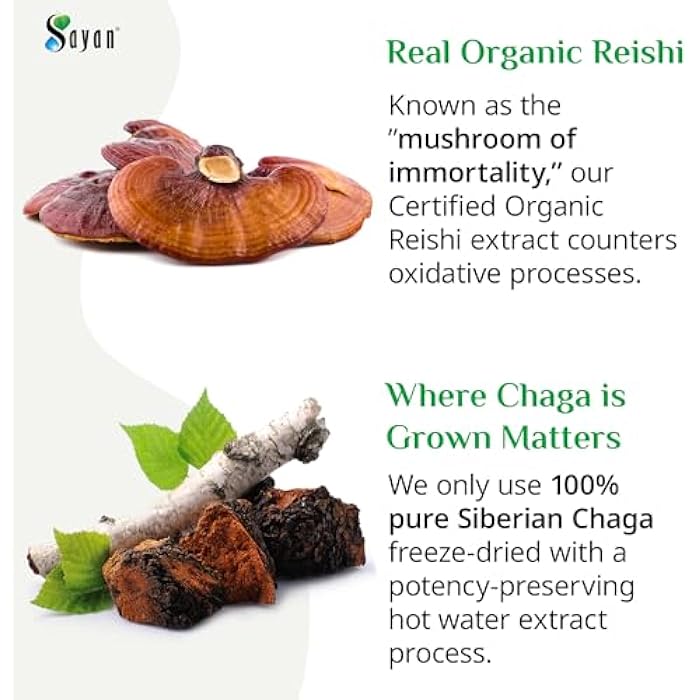 Sayan Siberian Chaga and Organic Reishi Mushroom Extract Supplement – 90 Capsules/440mg Each - Wild-Harvested, Antioxidant Blend for Immune System Support + Natural Energy Boost, Non-GMO, Gluten Free - Image 4