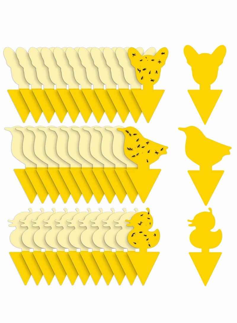 Generic 36 Pack Yellow Sticky Traps  - Image 1