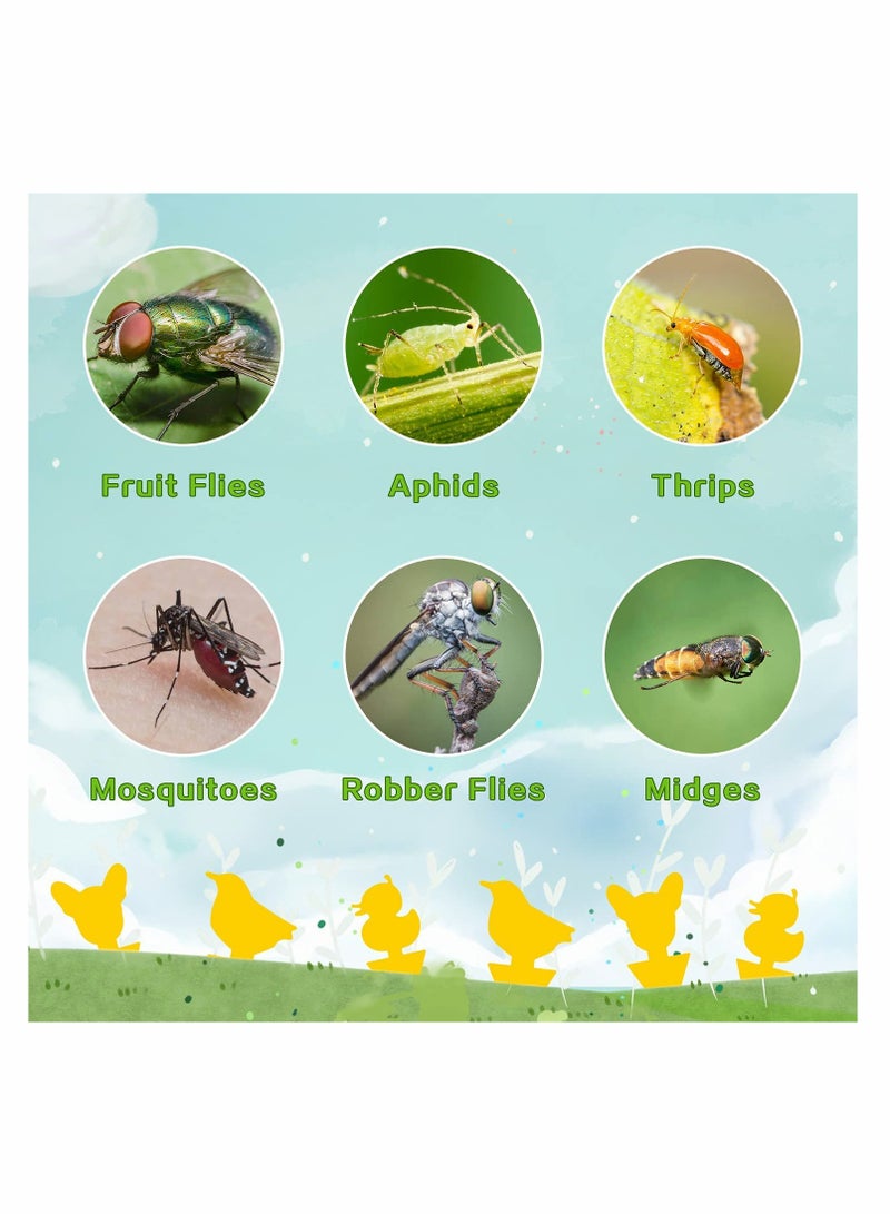 Generic 36 Pack Yellow Sticky Traps  - Image 2
