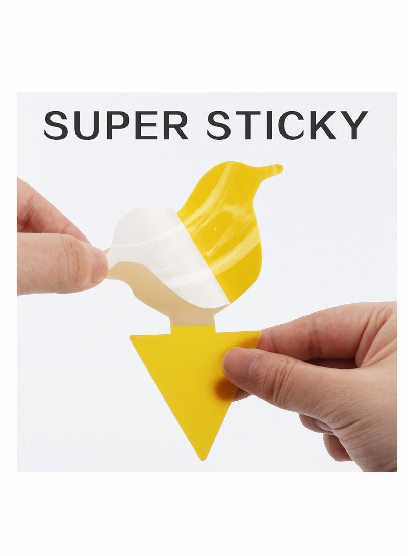 Generic 36 Pack Yellow Sticky Traps  - Image 5