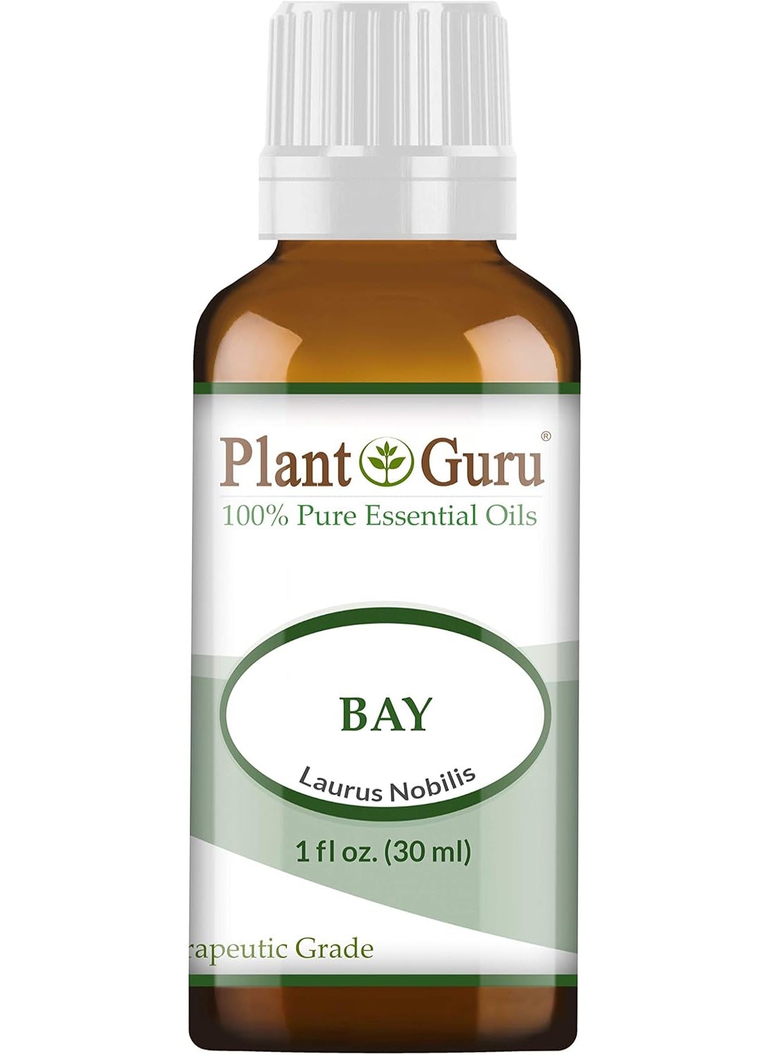 Plant Guru Bay Essential Oil (Laurus nobilis) 1 oz / 30 ml 100% Pure Undiluted Therapeutic Grade. 