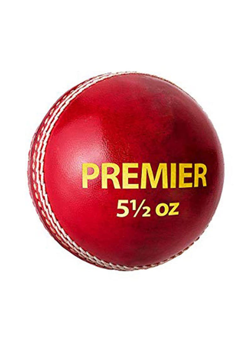 DSC Premier Leather Cricket Ball | Water Proofed Leather Ball | Suitable for Practice Game | Tournament Game | Top Quality Cork - Image 2