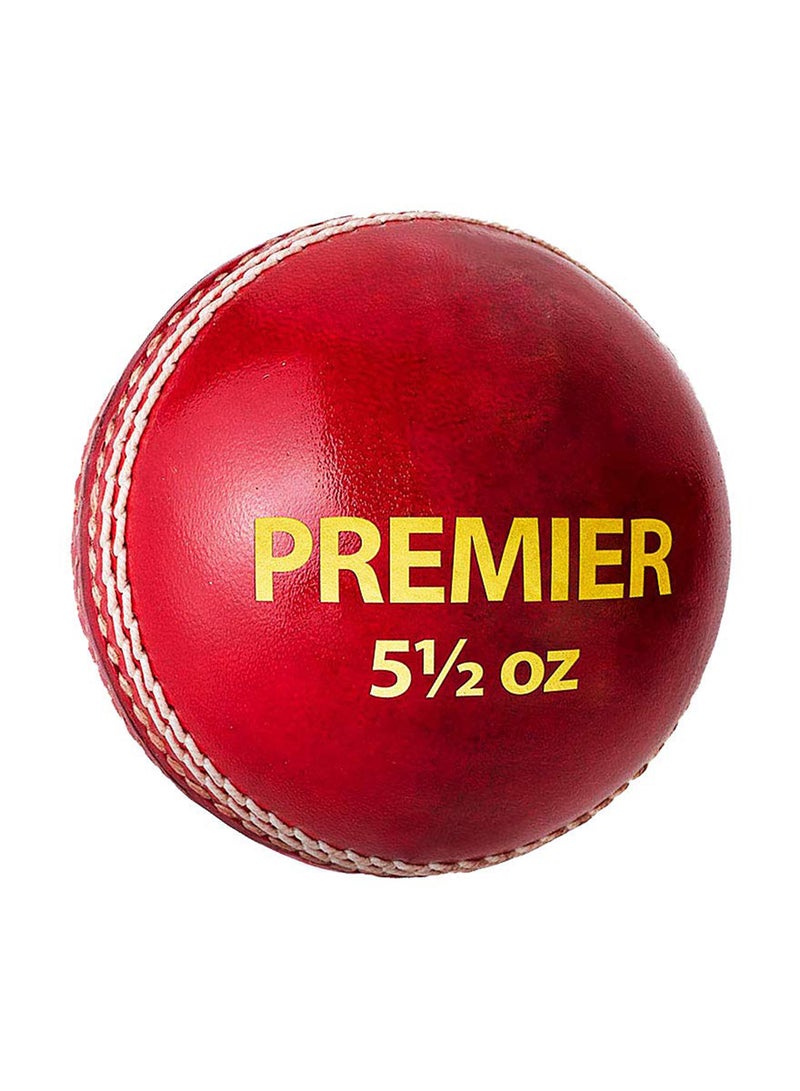 DSC Premier Leather Cricket Ball | Water Proofed Leather Ball | Suitable for Practice Game | Tournament Game | Top Quality Cork - Image 1