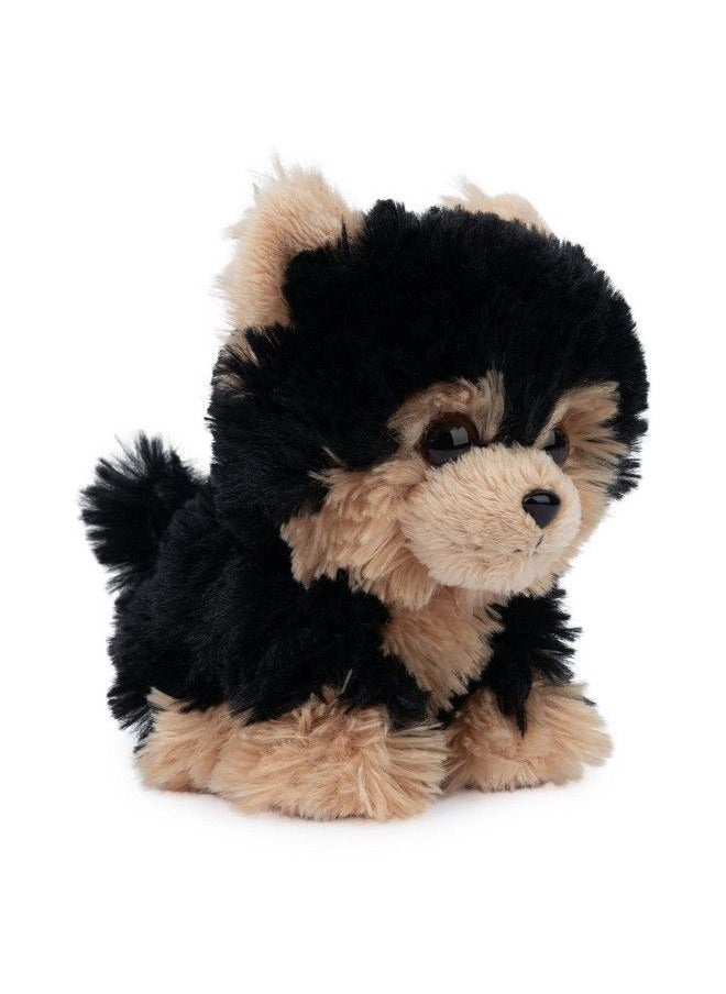 GUND Boo The World’S Cutest Dog Boo & Friends Collection Yorkie Puppy Stuffed Animal For Ages 1 And Up 5”  - Image 3
