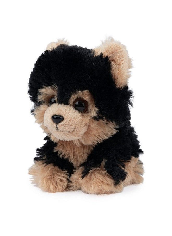 GUND Boo The World’S Cutest Dog Boo & Friends Collection Yorkie Puppy Stuffed Animal For Ages 1 And Up 5”  - Image 4