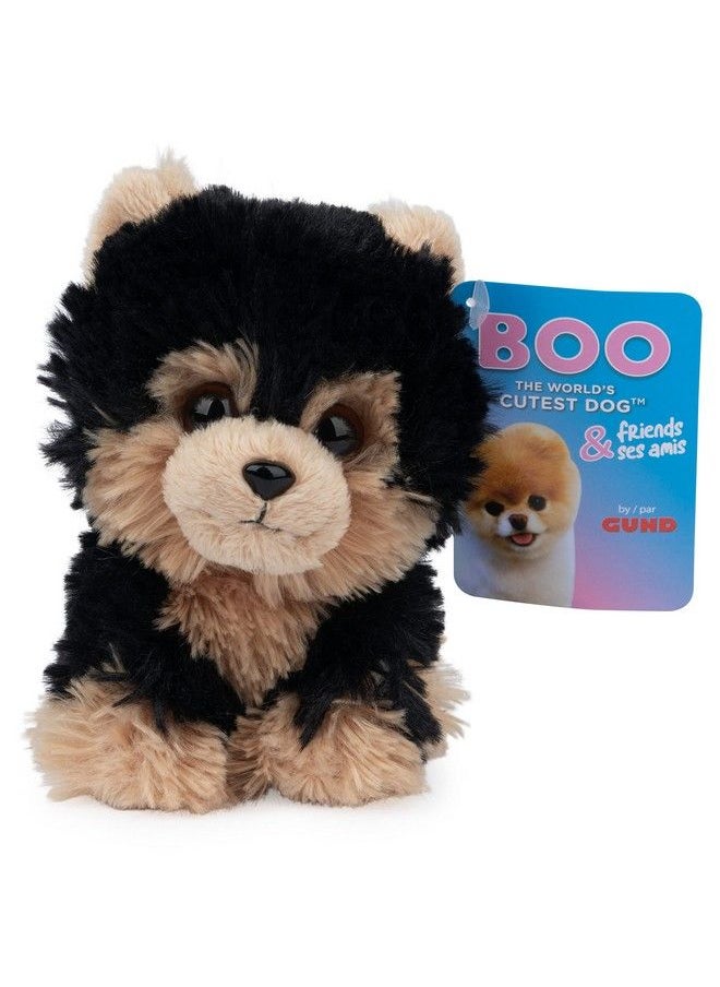 Boo The World’S Cutest Dog Boo & Friends Collection Yorkie Puppy Stuffed Animal For Ages 1 And Up 5” - pzsku/Z742927D47D4E9375D61FZ/45/_/1692165475/93b7bf97-8569-4c64-8767-a150da65c54a