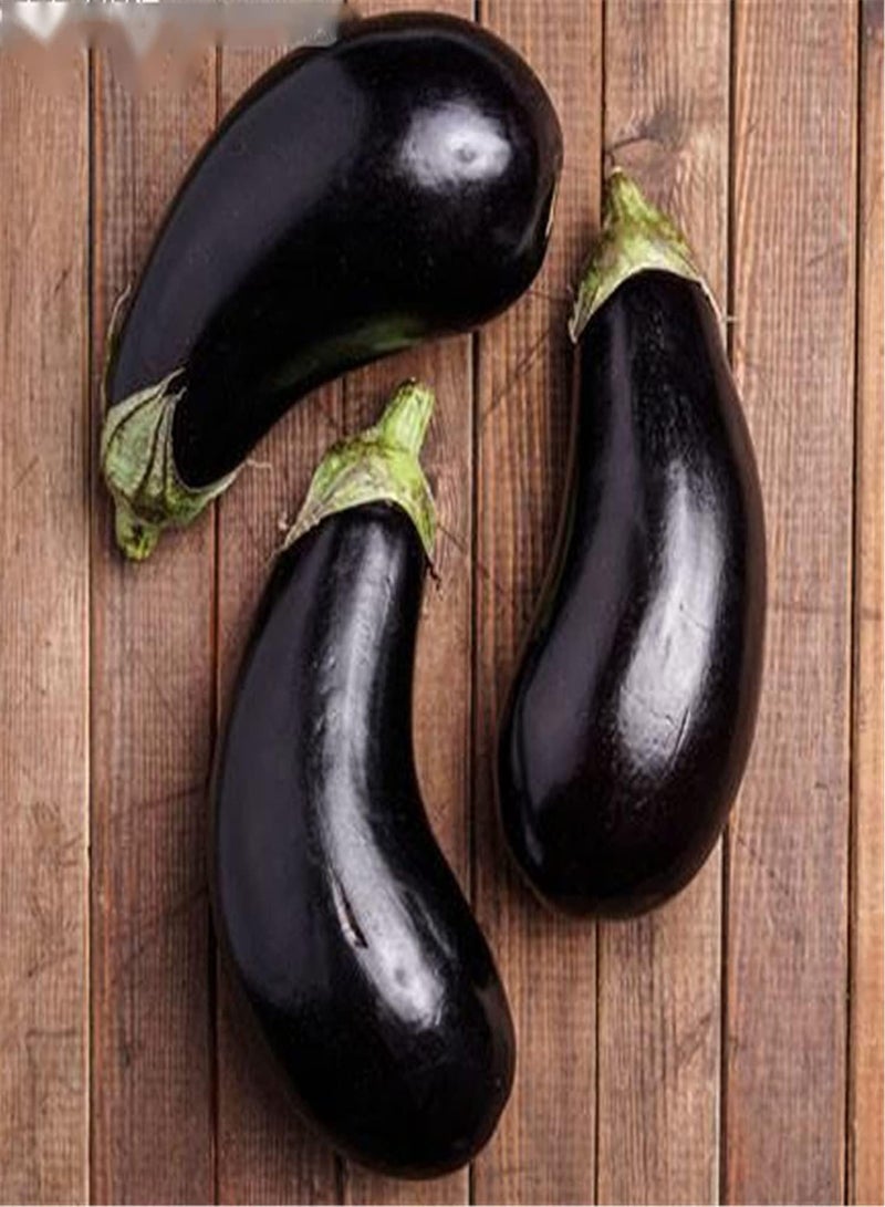 جي جوت بذور الباذنجان/مزروعة طوال العام/مجموعة بذور هدايا/بذور خارجية في المملكة المتحدة - Image 1