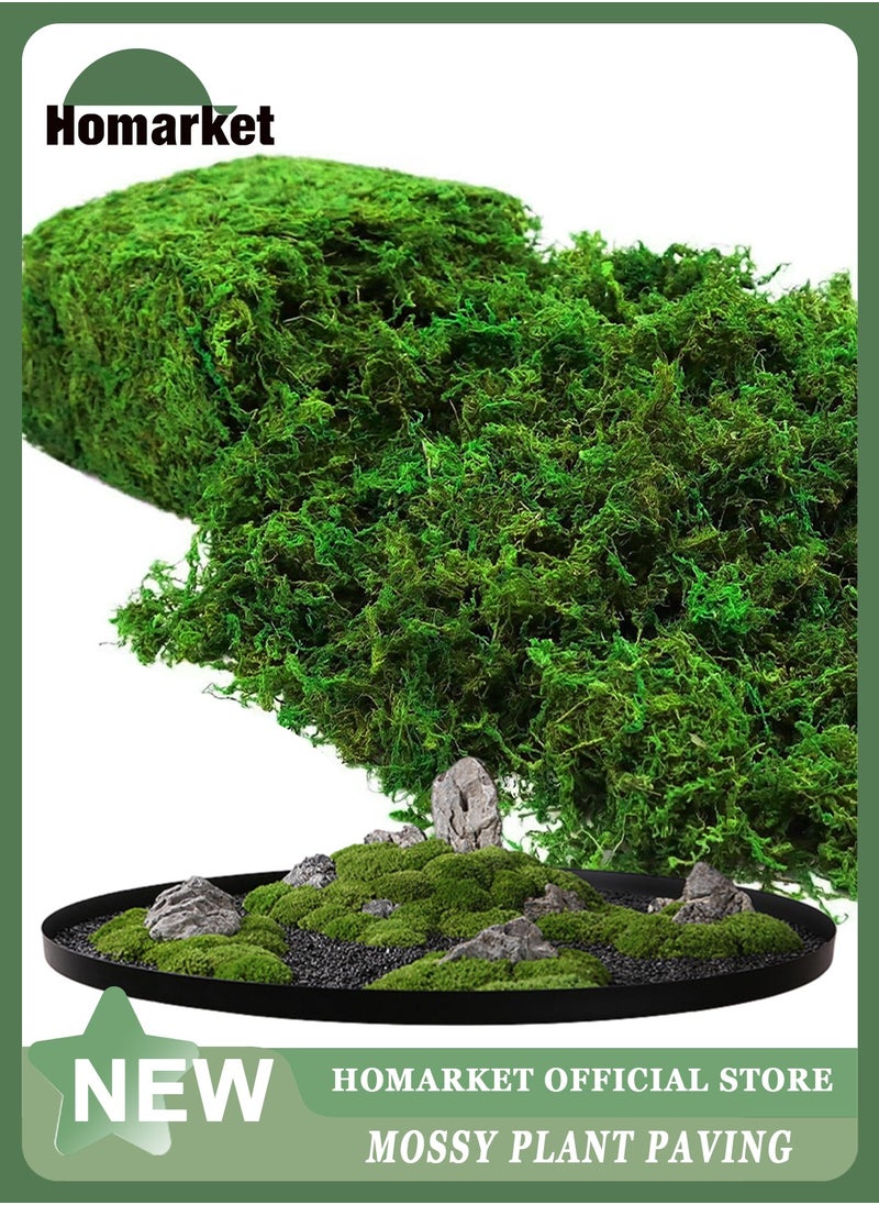 HomarKet Natural Green Moss for Crafts, Preserved Artificial Moss Potted Plants, Decorative Moss for Table Centerpieces Wedding Fairy Party Decor, Faux Moss for Indoor Planters, DIY Project (300g)  - Image 1