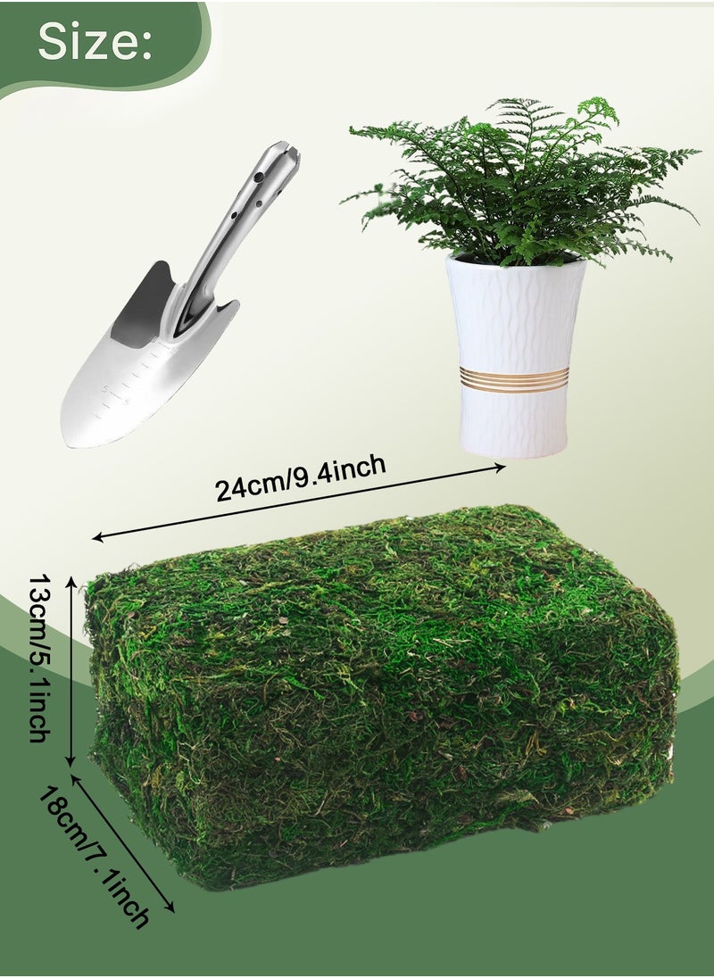 HomarKet Natural Green Moss for Crafts, Preserved Artificial Moss Potted Plants, Decorative Moss for Table Centerpieces Wedding Fairy Party Decor, Faux Moss for Indoor Planters, DIY Project (300g)  - Image 5
