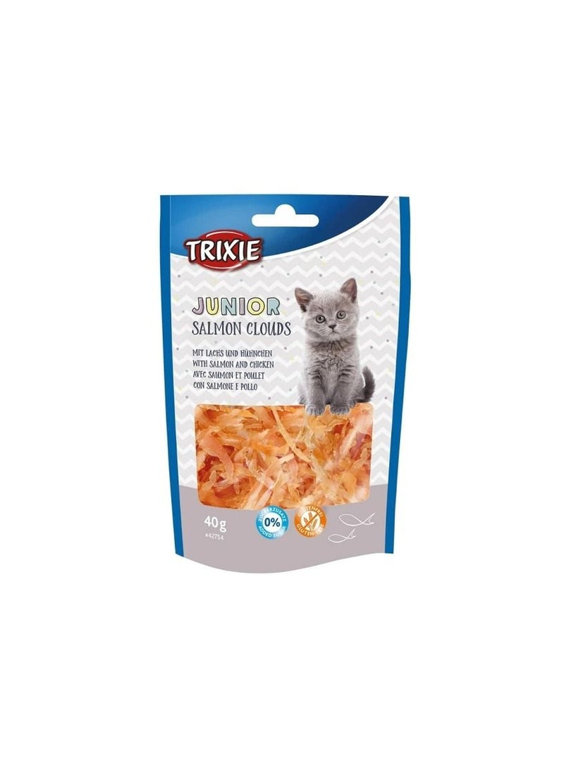 Junior Salmon Clouds Cat Treats - Image 3