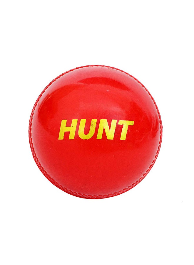 DSC Hunt Tennis Cricket Ball | Materail: Synthetic | Skill level: ‎Beginner | Weatherproof | Fine And Superior Quality | Pack of 1 | Playing Surface: Indoor/Outdoor - Image 2