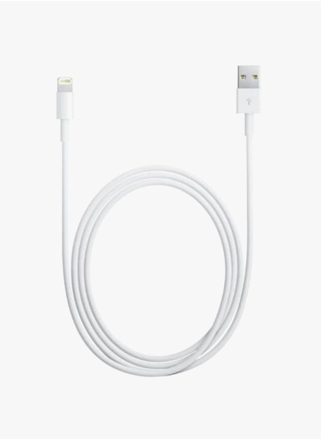 NIBEMINENT - Lightning USB Data Sync Charging Cable 100centimeter White - Image 1
