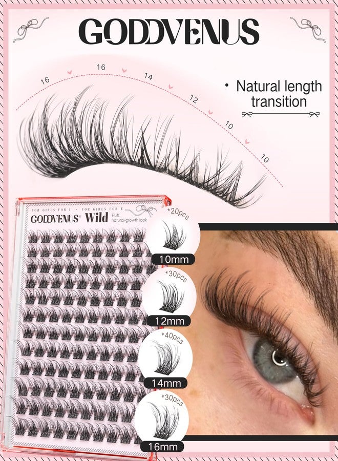 Goddvenus Natural Lash Clusters Wispy Eyelashes Clusters Fluffy Cluster Eyelash Extensions D Curl Individual Lash Extension 120pcs, 10-16mm False Eyelashes for DIY - Image 3