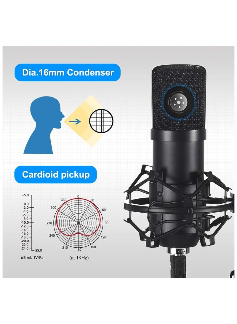 Arabest USB Condenser Microphone Kit, 192kHz/24bit Cardioid, Plug & Play USB 2.0, Adjustable Arm Stand with Shock Mount & Pop Filter, Low Noise, Streaming Podcast Gaming, Windows Mac, Black - Image 2
