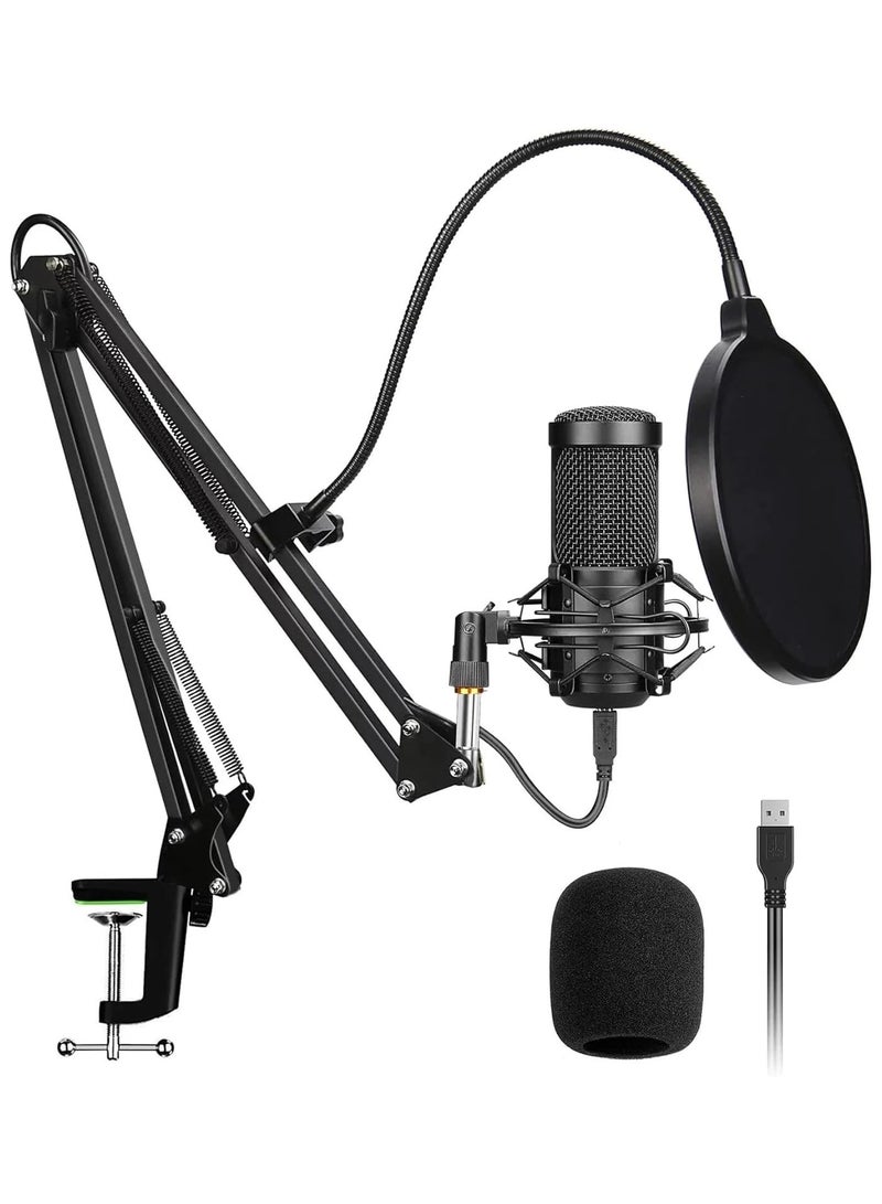Arabest USB Condenser Microphone Kit, 192kHz/24bit Cardioid, Plug & Play USB 2.0, Adjustable Arm Stand with Shock Mount & Pop Filter, Low Noise, Streaming Podcast Gaming, Windows Mac, Black - Image 1