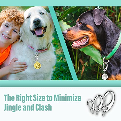 Divoti Pet Tag Quick Clip/Sping-Load Hook Combo for Pet ID Tags - 2 Medium - Image 4