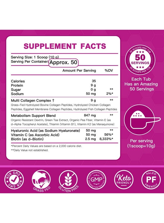 ZEBORA Collagen Peptides Powder 50 Servings - Hydrolyzed Multi Collagen Type I II III V X with Hyaluronic Acid, Biotin, Vitamin C - Support Skin Hair Nail Joints Unflavored, Keto & Paleo Friendly - Image 2