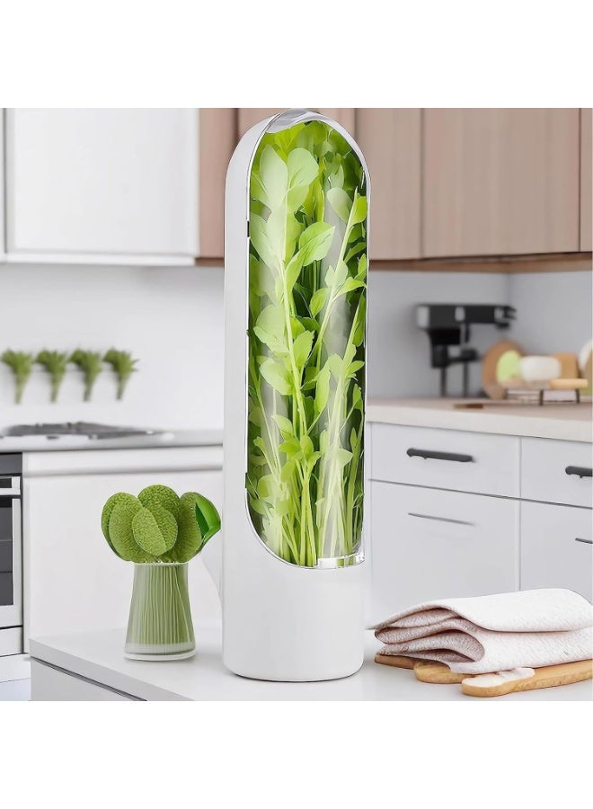 جونيس قطعتان من حافظ الأعشاب للثلاجة، وعاء حفظ الأعشاب للكزبرة، حافظ نضارة للأعشاب مثل الكزبرة والبقدونس والهلي والنعناع، يحافظ على الخضروات طازجة لمدة ٢-٣ أسابيع - Image 5