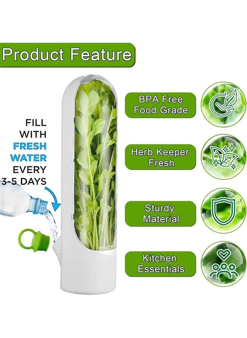 جونيس قطعتان من حافظ الأعشاب للثلاجة، وعاء حفظ الأعشاب للكزبرة، حافظ نضارة للأعشاب مثل الكزبرة والبقدونس والهلي والنعناع، يحافظ على الخضروات طازجة لمدة ٢-٣ أسابيع - Image 3