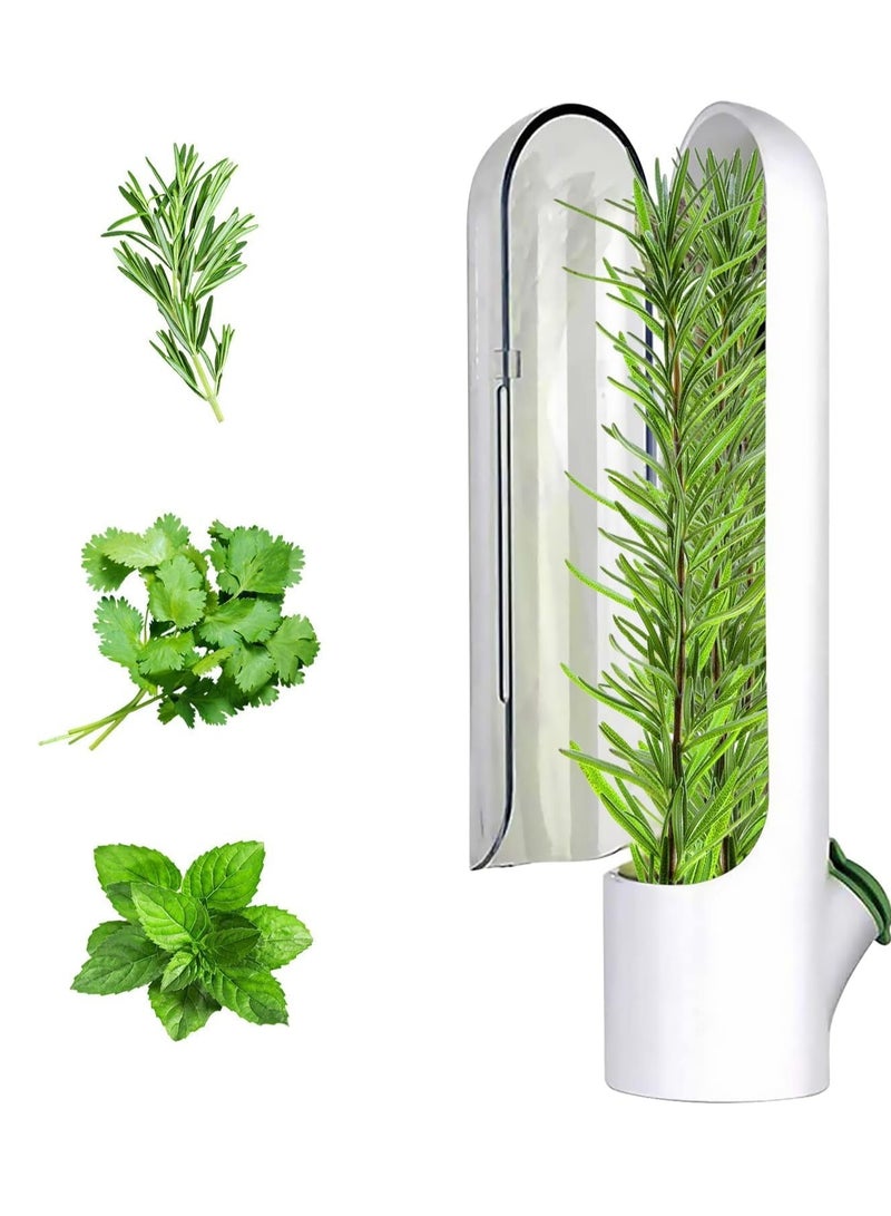 Premify 2 Pcs Herb Saver, Herbs Keeper for Refrigerator, Cilantro Storage Containers, Herb Saver Pod Keep Fresh & Green Vegetables, Mint, Parsley, Asparagus for 2-3 Weeks