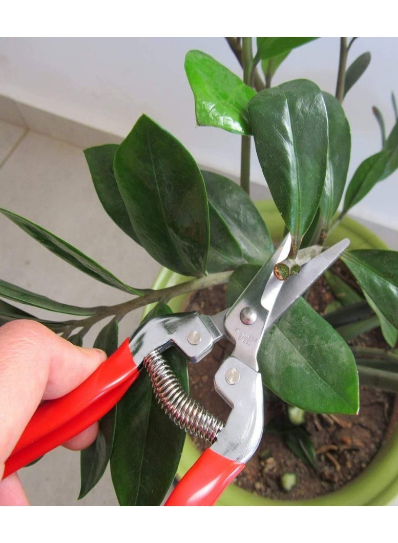 Pruning Shears, Professional Stainless Steel Pruner Sharp Plant Trimming Scissors for Rose - Image 3