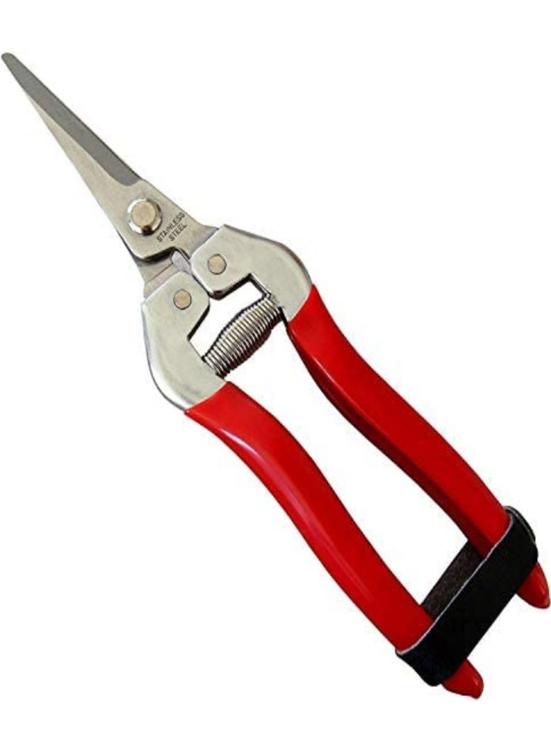 Pruning Shears, Professional Stainless Steel Pruner Sharp Plant Trimming Scissors for Rose - Image 1