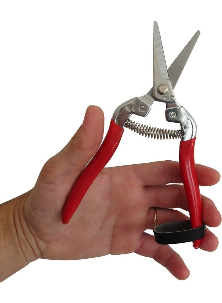 Pruning Shears, Professional Stainless Steel Pruner Sharp Plant Trimming Scissors for Rose - Image 2