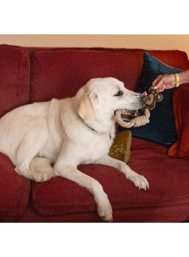 سبوت حلقات حيوانات من الجلد الصناعي المتين من SPOT - لعبة حبل للكلاب، مصنوعة من الجلد الطبيعي وقماش الجوت، حلقة حبل متينة رائعة للشد والمضغ - 11 بوصة، أنماط متنوعة، قطعة واحدة - Image 3