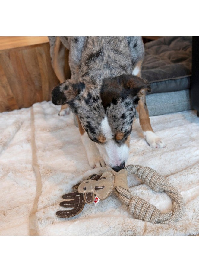 سبوت حلقات حيوانات من الجلد الصناعي المتين من SPOT - لعبة حبل للكلاب، مصنوعة من الجلد الطبيعي وقماش الجوت، حلقة حبل متينة رائعة للشد والمضغ - 11 بوصة، أنماط متنوعة، قطعة واحدة - Image 2