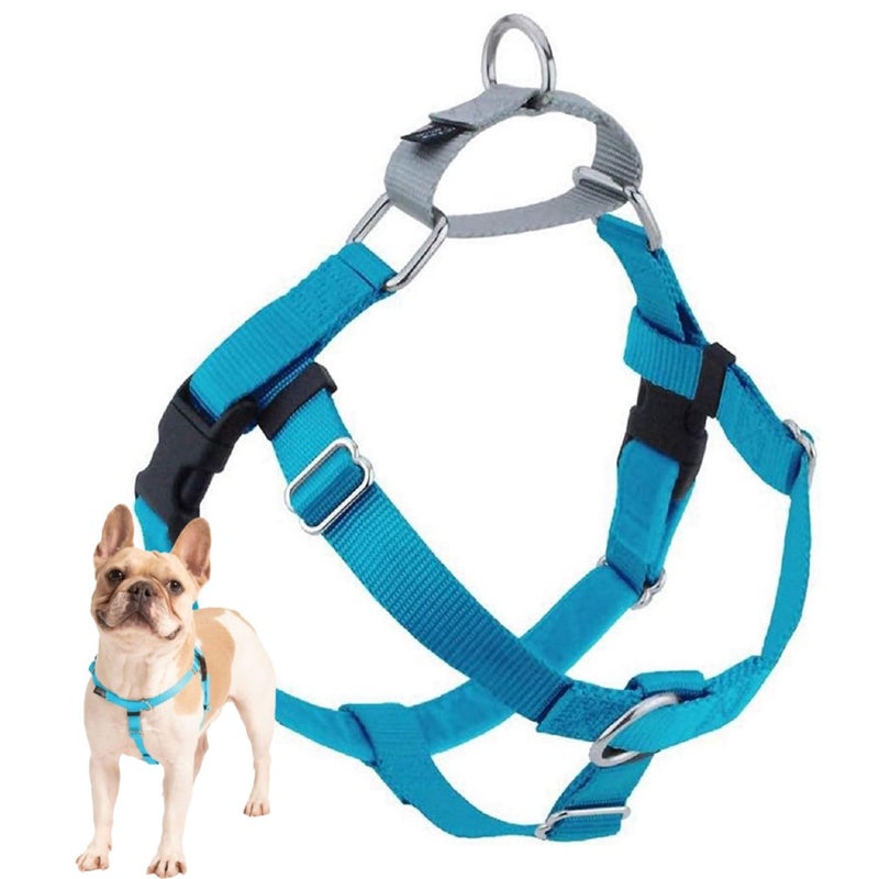 2 Hounds Design Freedom No Pull Dog Harness Adjustable Harness Easy Walking Comfortable Control Fits Small Medium Large Dogs Solid Colors Made in USA 1 MD Turquoise