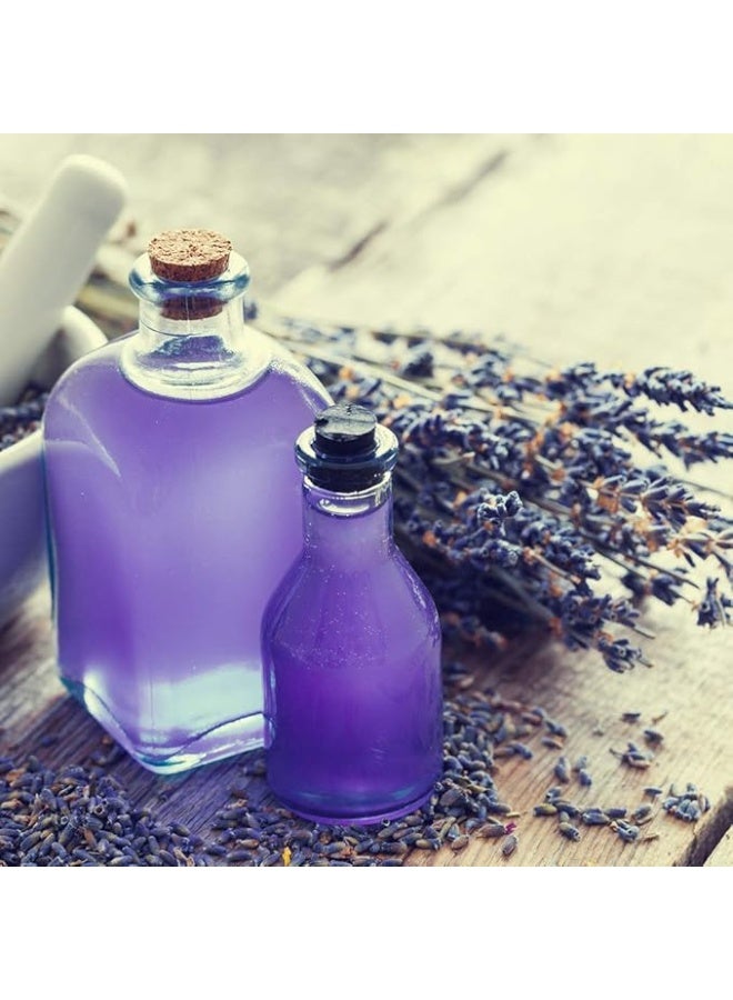 أورا بخاخ معطر جو أورا، عبوة إعادة تعبئة أوتوماتيكية، برائحة اللافندر، عبوة من 3 قطع × 250 مل، عطر يدوم طويلًا للمنزل والمكتب والمطبخ والحمام، يناسب معظم الموزعات، مزيل للروائح سهل الاستخدام - Image 3